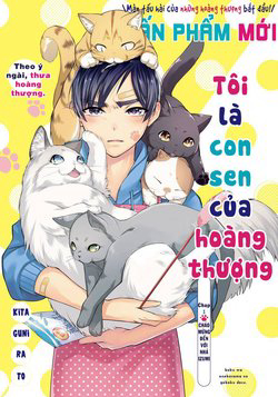Bìa truyện Tôi là con sen của Hoàng thượng