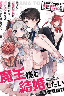 Bìa truyện Maou-Sama To Kekkonshitai