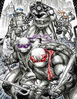 Bìa truyện Batman - Ninja Rùa