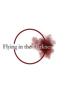 Bìa truyện Flying in the Darkness