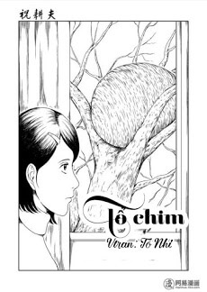 Bìa truyện Tổ Chim