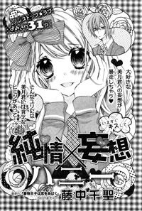 Bìa truyện JUNJOU X BOUSOU HONEY