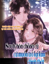 Bìa truyện Sau Ly Hôn Chồng Cũ Cứ Muốn Trở Lại Làm Chính Thất